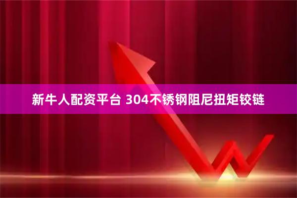新牛人配资平台 304不锈钢阻尼扭矩铰链