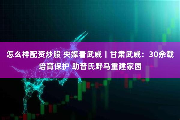 怎么样配资炒股 央媒看武威丨甘肃武威：30余载培育保护 助普氏野马重建家园