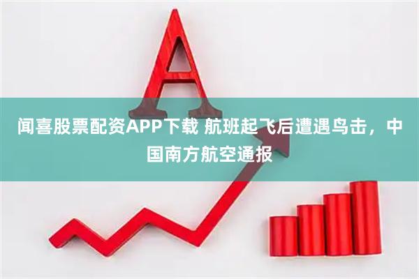 闻喜股票配资APP下载 航班起飞后遭遇鸟击，中国南方航空通报